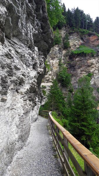 Datei:Gasteiner Höhenweg 20210709 2.jpg