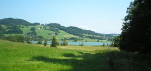 Irrseeufer bei Laiter.jpg