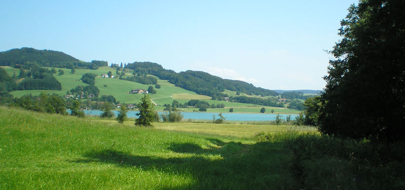 Datei:Irrseeufer bei Laiter.jpg