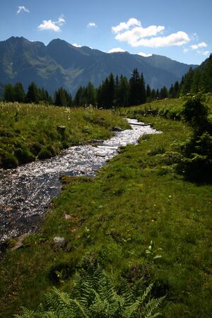 Wirpitschbach 29817 2016-07-10.jpg
