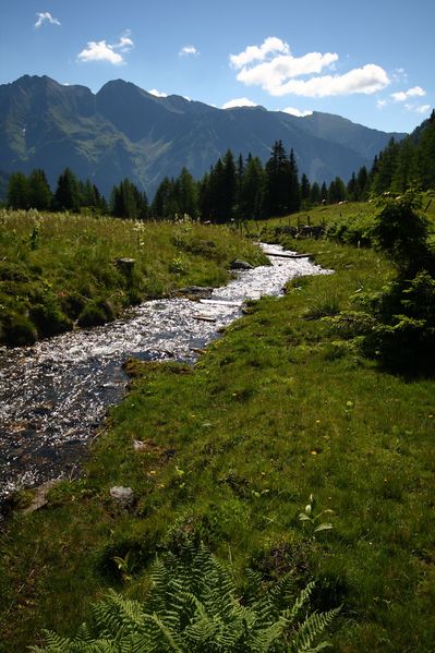 Datei:Wirpitschbach 29817 2016-07-10.jpg