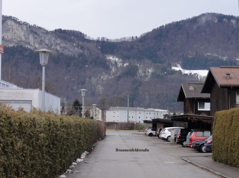 Datei:Brunnenfeldstraße (Oberalm).jpg