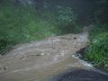 DSC00146a.jpg