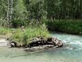 Fuscher Ache im Ferleitental.jpg