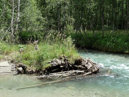 Fuscher Ache im Ferleitental