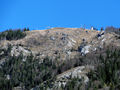 Gaisberg nach Kyrill.jpg