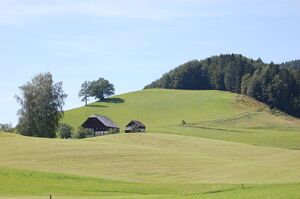Irrsberg 010.jpg