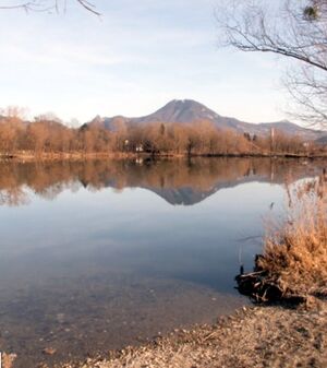 Salzachsee.jpg