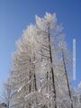 2006 01 16 Maria Plain Winter Bergheim 22.jpg