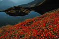 Brandlsee Herbst.jpg