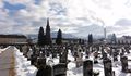 DSC00653.JPG