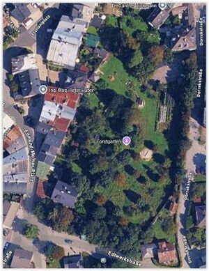 Halleiner Forstgarten vor seiner Rekultivierung.jpg