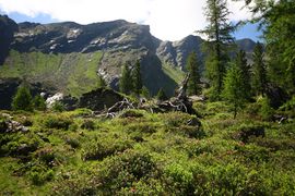 Schönalm weißpriach 29788 2016-07-10.jpg