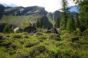 Schönalm weißpriach 29788 2016-07-10.jpg