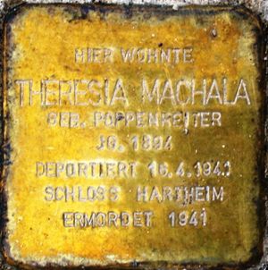 Stolperstein Theresia Machala.jpg