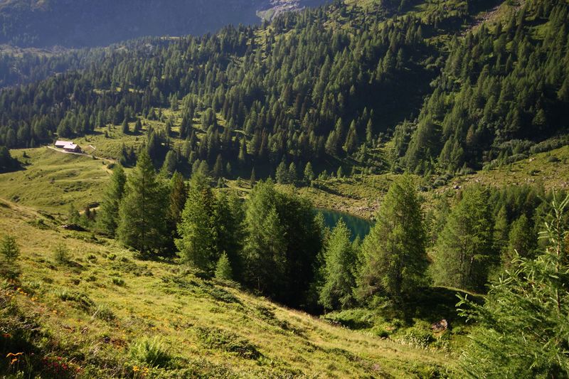 Datei:Wirpitschalm 29952 2016-07-10.jpg