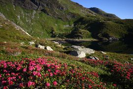 Wirpitschsee, obere-weißpriach 29673 2016-07-10.jpg