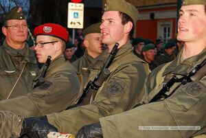 Angelobung 2015 in Neumarkt am Wallersee 69.jpg