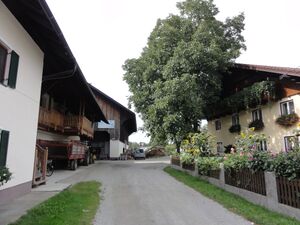 Bauernhof in Viehhausen.JPG
