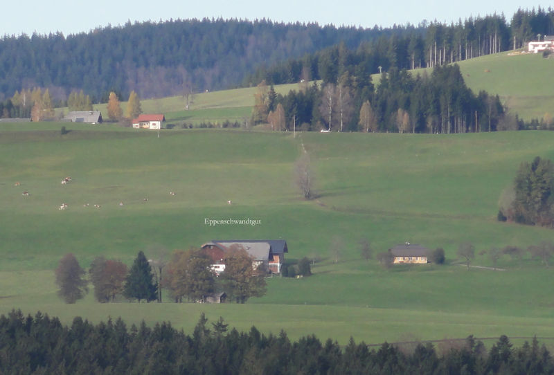 Datei:Eppenschwandtgut am Thalgauberg.jpg
