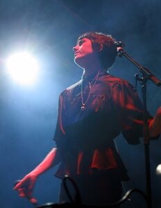 Frequency ladytron 3.jpg