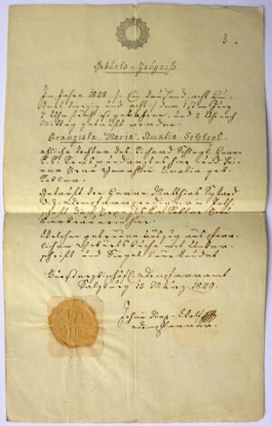 Geburtszeugnis für Franziska Schlegel 1848, Abschrift 1849.JPG