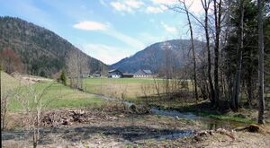 Viele Bäche in Tiefbrunnau.jpg