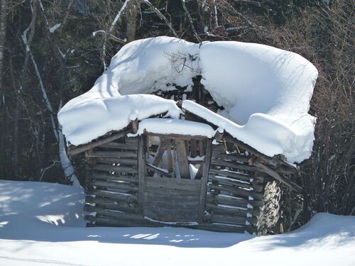 18. Februar 2012 3.jpg