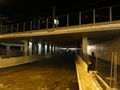 DSC01131.JPG