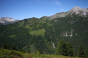 Gastalm -obertauern 62517 2010-07-08.jpg