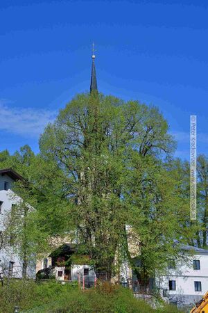 Naturdenkmäler im Kirchenbezirk von Neumarkt am Wallersee 04.jpg
