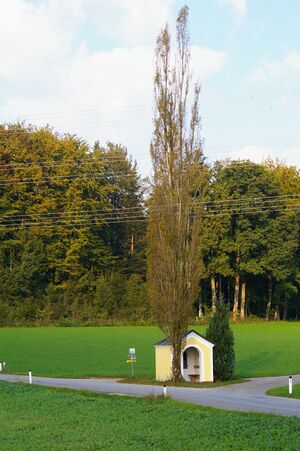 Blahuntnerkapelle.JPG