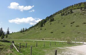 DSC03714.JPG