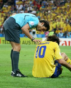 Euro 12.jpg
