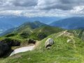 Pinzgauer Grasberge Dientener Berge.jpg