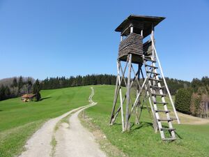 Fußweg zur Dichtlalm.JPG