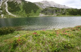 Oberhüttensee 28406 2016-06-28.jpg