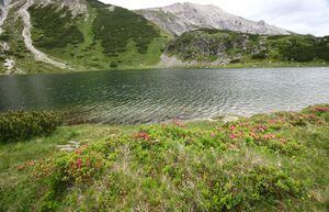 Oberhüttensee 28406 2016-06-28.jpg