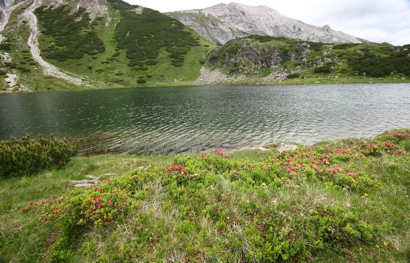 Datei:Oberhüttensee 28406 2016-06-28.jpg
