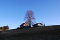 Vorschaubild der Version vom 22:41, 29. Nov. 2011
