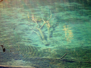 Kleinarl-Jägersee-10.png
