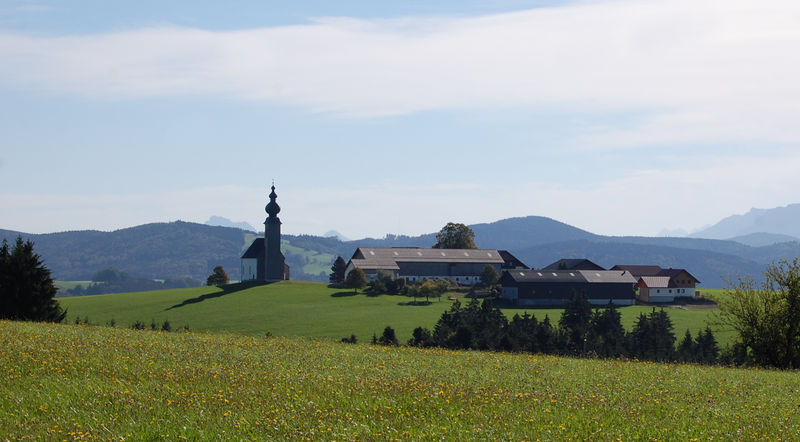 Datei:Sommerholz einzigartig.jpg