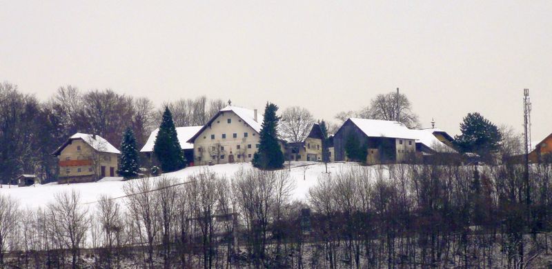 Datei:Weiler Nußdorf.jpg