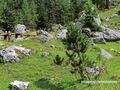 2013 08 27 Filzmoos Hofalm 02.jpg