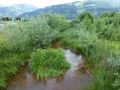 Bruckbergkanal 9.jpg