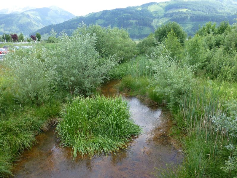 Datei:Bruckbergkanal 9.jpg
