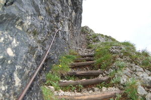 Dopplersteig.jpg