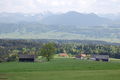 Hörandl DSC 0078.JPG