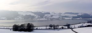 Irrsee mit Sommerholz a.jpg