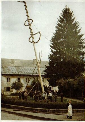 Maibaum mit santner.jpg